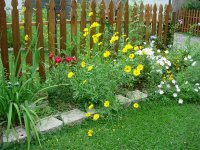 DSCN2215.jpg