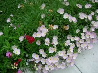 DSCN2218.jpg