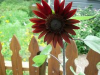 DSCN2221.jpg