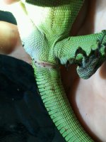 2013-07-28_20.14.04.jpg