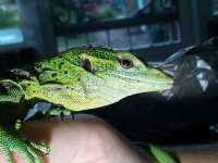 2013-07-28_20.14.26.jpg