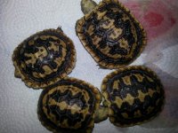 20130706_215255.jpg