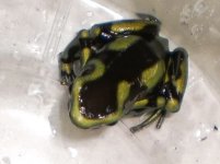 8471318_orig.jpg