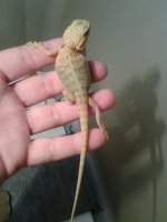 20131030_165820.jpg