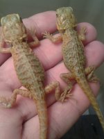 20130708_122402.jpg