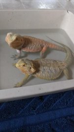 oscar n rizzo.jpg