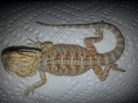 20130708_104733.jpg