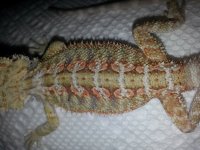 20130708_104727.jpg