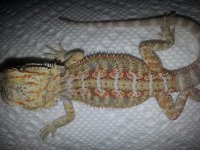 20130708_104721.jpg