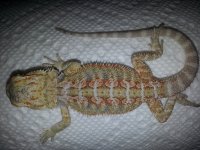 20130708_104637.jpg
