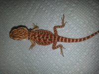 20130708_103637.jpg