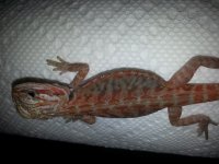 20130708_104942.jpg
