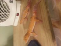 20130624_140447.jpg