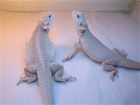 100_5010.jpg