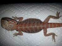 20130708_104937.jpg