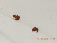 DSCN0098.jpg