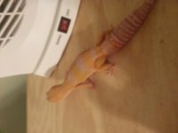 20130624_140456.jpg