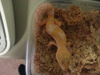 20130624_141345.jpg