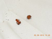 DSCN0102.jpg