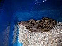 20130703_143451.jpg