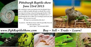 reptiles-51.jpg