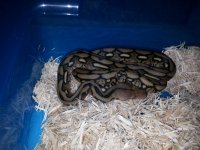 20130703_143515.jpg