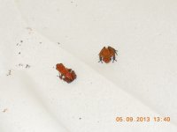 DSCN0103.jpg