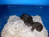 20130703_143555.jpg