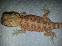 20130705_194402.jpg