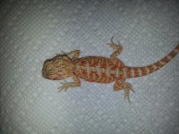 20130705_194410.jpg