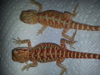 20130703_152932.jpg