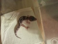 20130624_140750.jpg