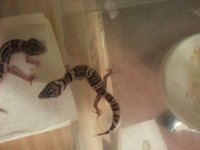 20130624_140757.jpg