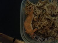 20130623_094210.jpg