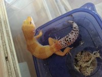 20130623_094147.jpg