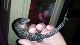 20130703_210939.jpg