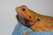 IMG_7035.jpg