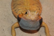 IMG_7092.jpg