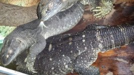 20130703_205141.jpg