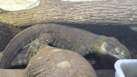 20130701_174933.jpg
