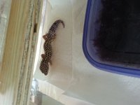 20130708_152121.jpg