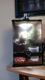 WP_20130706_001.jpg