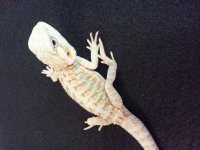 20130622_113332.jpg