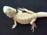 20130622_113338.jpg