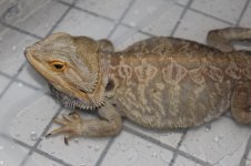 IMG_7072.jpg