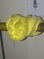 IMG-20121231-00663.jpg