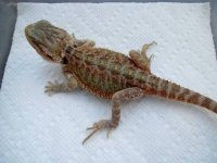 IMG_5358.JPG
