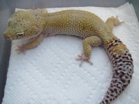 IMG_5357.JPG