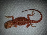 20130720_121653.jpg