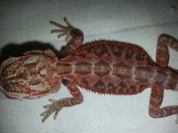 20130627_120748.jpg